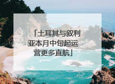 土耳其与叙利亚本月中旬起运营更多直航