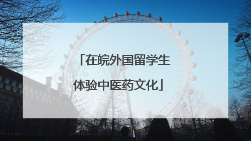 在皖外国留学生体验中医药文化