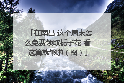 在南昌 这个周末怎么免费领取栀子花 看这篇就够啦（图）