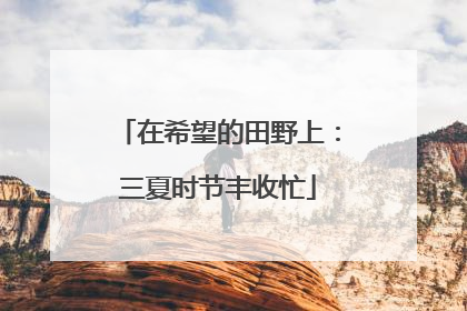 在希望的田野上：三夏时节丰收忙