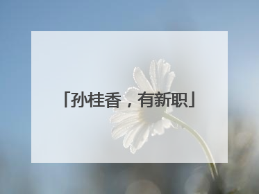 孙桂香，有新职