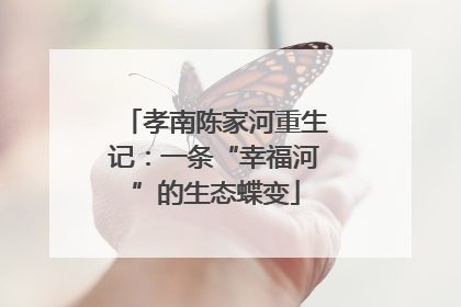 孝南陈家河重生记：一条“幸福河”的生态蝶变