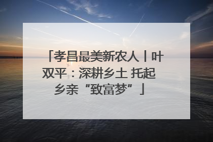 孝昌最美新农人丨叶双平：深耕乡土 托起乡亲“致富梦”