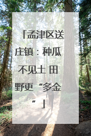 孟津区送庄镇：种瓜不见土 田野更“多金”