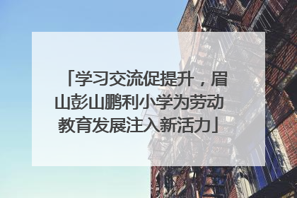 学习交流促提升，眉山彭山鹏利小学为劳动教育发展注入新活力