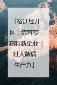 宿迁经开区：培育专精特新企业 壮大新质生产力