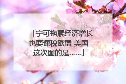 宁可拖累经济增长也要课税欧盟 美国这次图的是……