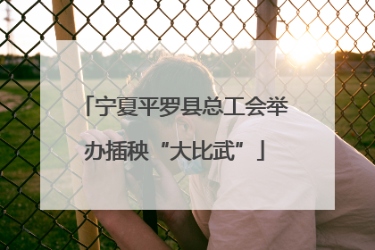 宁夏平罗县总工会举办插秧“大比武”
