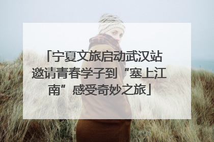宁夏文旅启动武汉站 邀请青春学子到“塞上江南”感受奇妙之旅