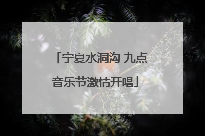 宁夏水洞沟 九点音乐节激情开唱