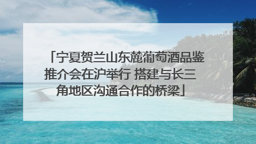 宁夏贺兰山东麓葡萄酒品鉴推介会在沪举行 搭建与长三角地区沟通合作的桥梁