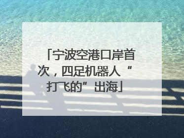 宁波空港口岸首次，四足机器人“打飞的”出海
