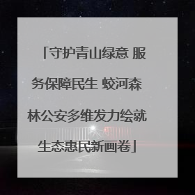 守护青山绿意 服务保障民生 蛟河森林公安多维发力绘就生态惠民新画卷