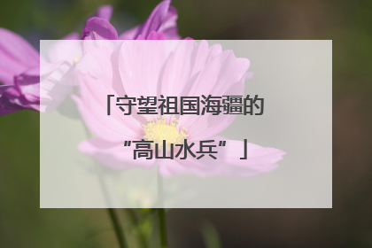 守望祖国海疆的“高山水兵”