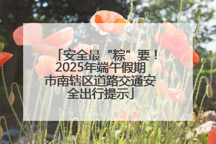 安全最“粽”要！2025年端午假期市南辖区道路交通安全出行提示