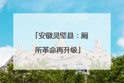 安徽灵璧县：厕所革命再升级