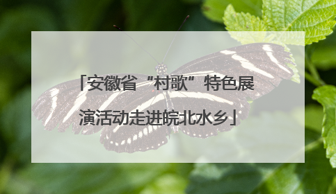 安徽省“村歌”特色展演活动走进皖北水乡