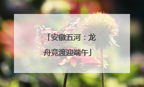 安徽五河：龙舟竞渡迎端午