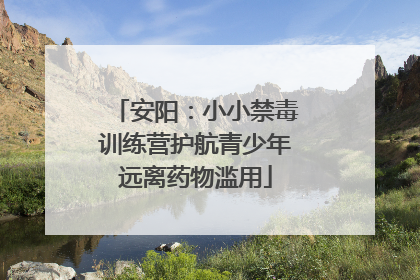 安阳：小小禁毒训练营护航青少年远离药物滥用