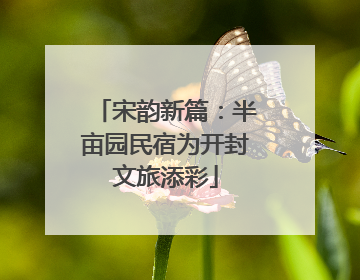 宋韵新篇：半亩园民宿为开封文旅添彩