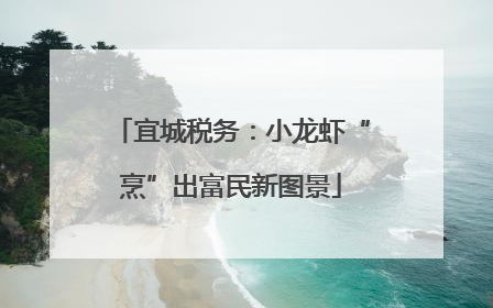 宜城税务：小龙虾“烹”出富民新图景