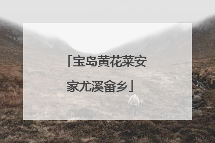 宝岛黄花菜安家尤溪畲乡