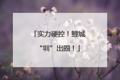 实力硬控！鲤城“圳”出圈！