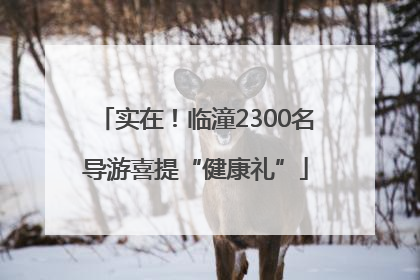 实在！临潼2300名导游喜提“健康礼”