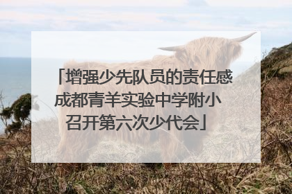 增强少先队员的责任感 成都青羊实验中学附小召开第六次少代会