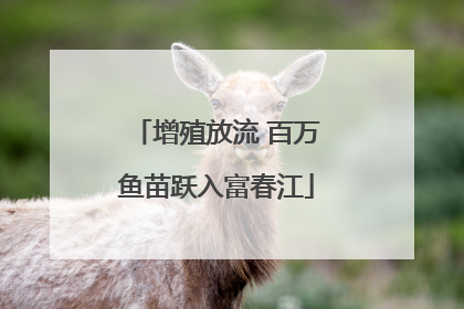 增殖放流 百万鱼苗跃入富春江