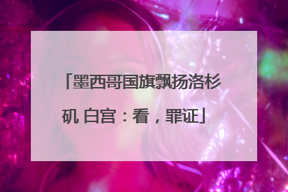 墨西哥国旗飘扬洛杉矶 白宫：看，罪证