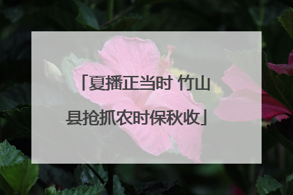 夏播正当时 竹山县抢抓农时保秋收