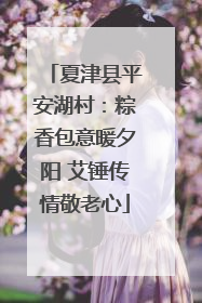 夏津县平安湖村：粽香包意暖夕阳 艾锤传情敬老心