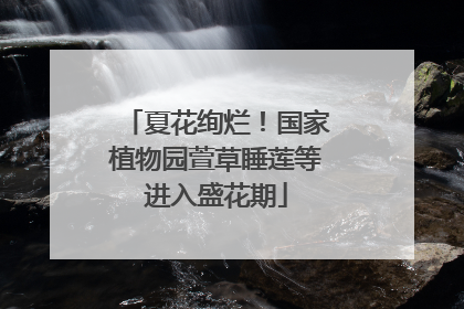 夏花绚烂！国家植物园萱草睡莲等进入盛花期