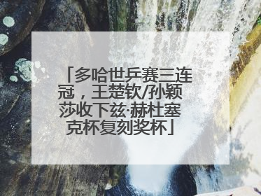 多哈世乒赛三连冠，王楚钦/孙颖莎收下兹·赫杜塞克杯复刻奖杯