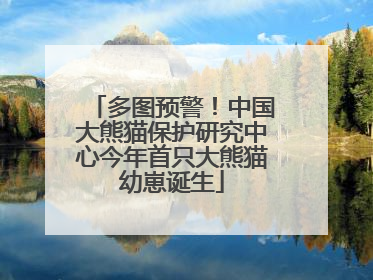 多图预警！中国大熊猫保护研究中心今年首只大熊猫幼崽诞生