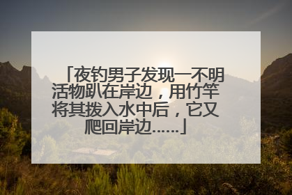 夜钓男子发现一不明活物趴在岸边，用竹竿将其拨入水中后，它又爬回岸边……