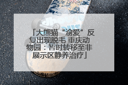 大熊猫“渝爱”反复出现脱毛 重庆动物园：暂时转移至非展示区静养治疗