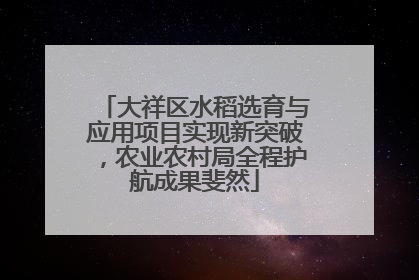 大祥区水稻选育与应用项目实现新突破，农业农村局全程护航成果斐然