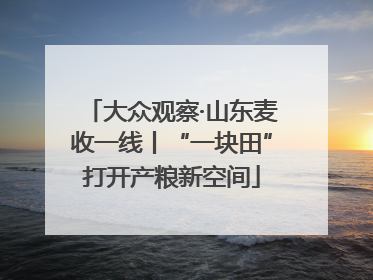 大众观察·山东麦收一线丨“一块田”打开产粮新空间