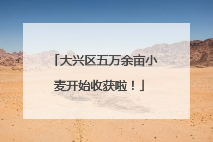 大兴区五万余亩小麦开始收获啦！
