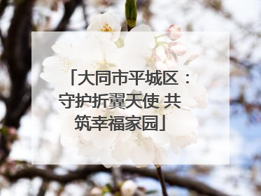 大同市平城区：守护折翼天使 共筑幸福家园