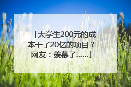 大学生200元的成本干了20亿的项目？网友：羡慕了……