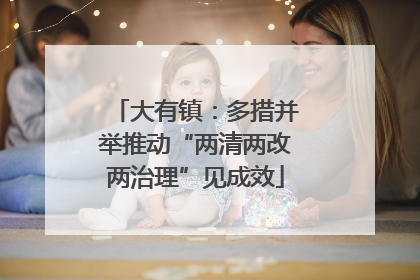 大有镇：多措并举推动“两清两改两治理”见成效