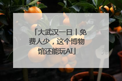 大武汉一日丨免费人少，这个博物馆还能玩AI