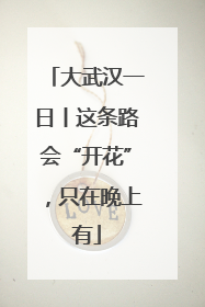 大武汉一日丨这条路会“开花”，只在晚上有
