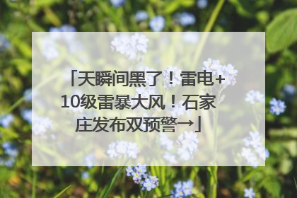 天瞬间黑了！雷电+10级雷暴大风！石家庄发布双预警→