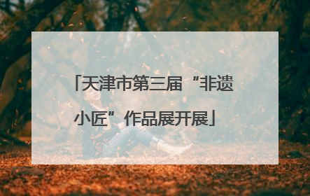 天津市第三届“非遗小匠”作品展开展