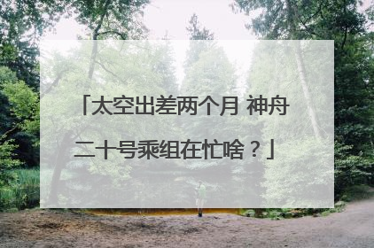 太空出差两个月 神舟二十号乘组在忙啥？