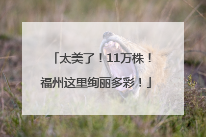 太美了！11万株！福州这里绚丽多彩！